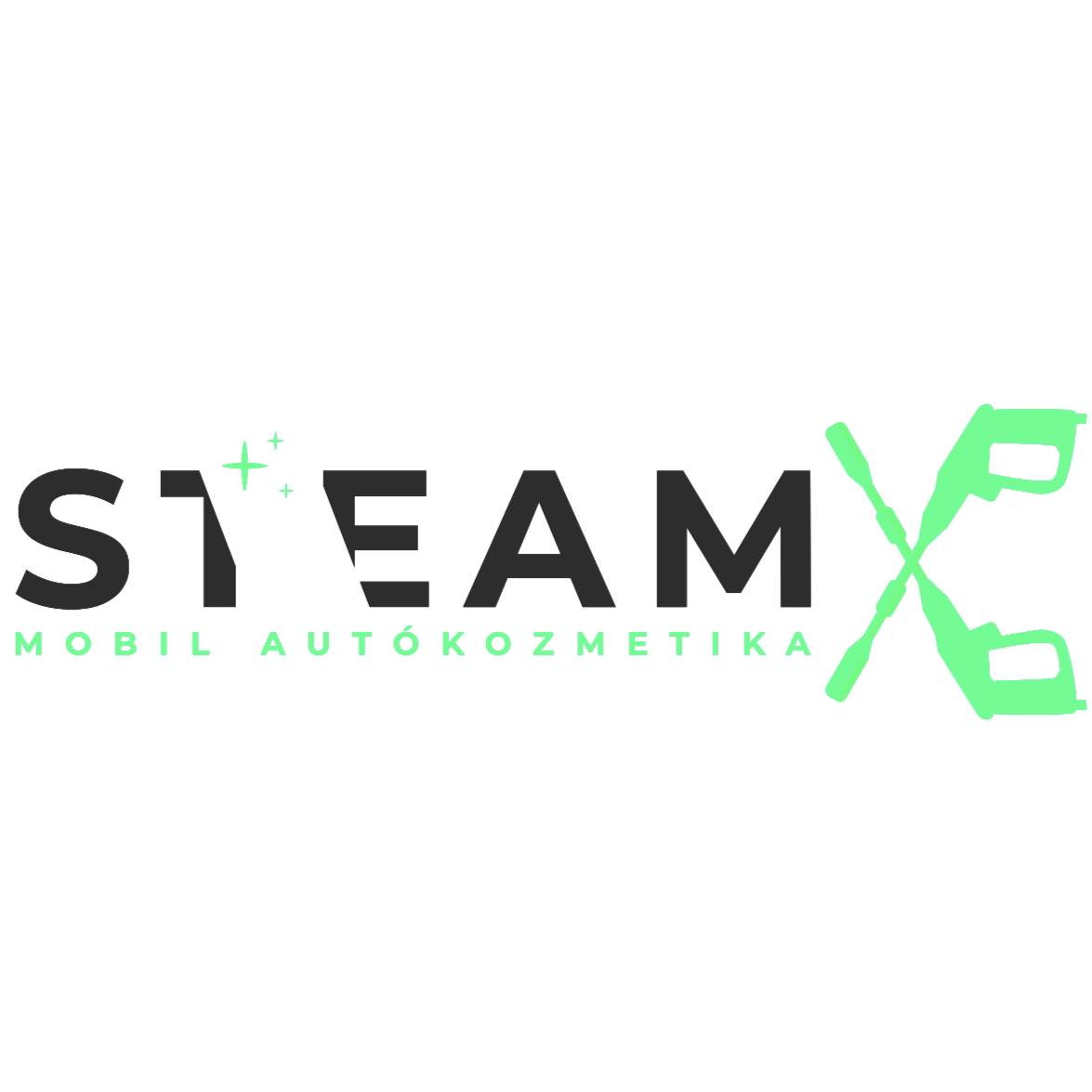 SteamX Hungary kép